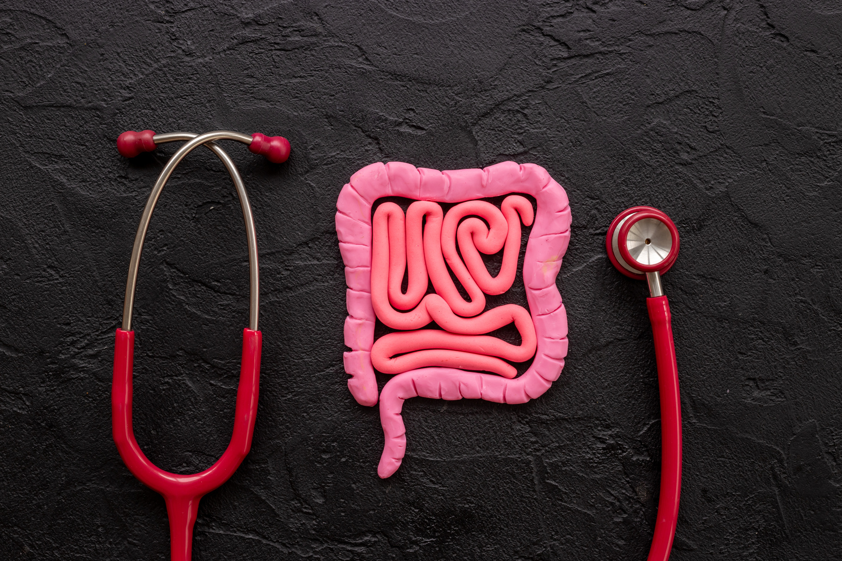 Stomach or intestines colon organ problems. Bowel disease concept. Human internal organs intestines shape